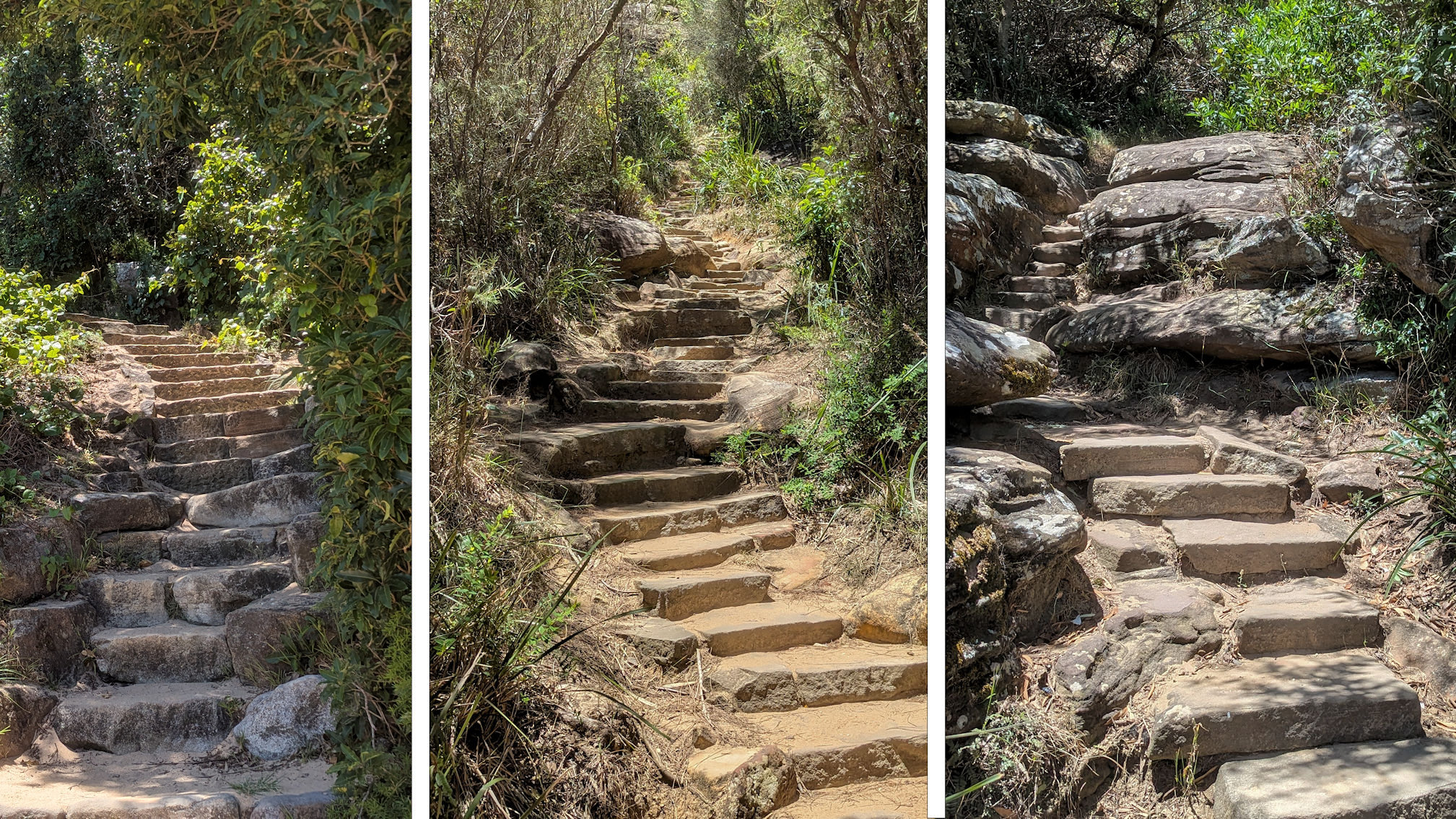 barrenjoey track (3)